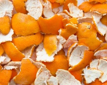 Du kommer aldrig mer att slänga clementinskal efter att du sett DETTA!