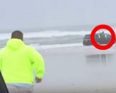 “Hjälp, mamma försöker döda oss!” Ropar barnen. Medan den gravida kvinnan kör bilen rakt ut i havet!