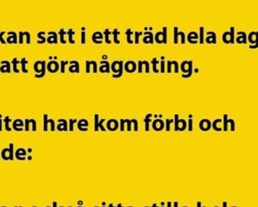 Kråkan satt i ett träd hela..