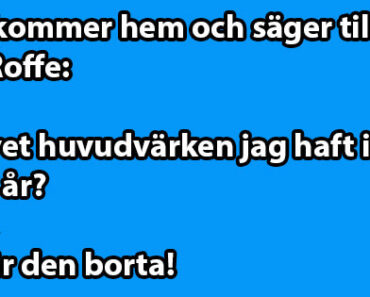 Lena kommer hem och…