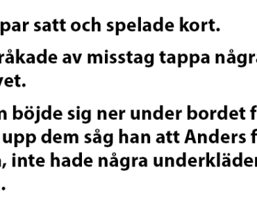 2 gifta par satt och spelade kort.