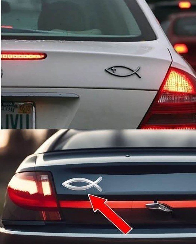 Vad betyder en fiskdekal bak på en bil?