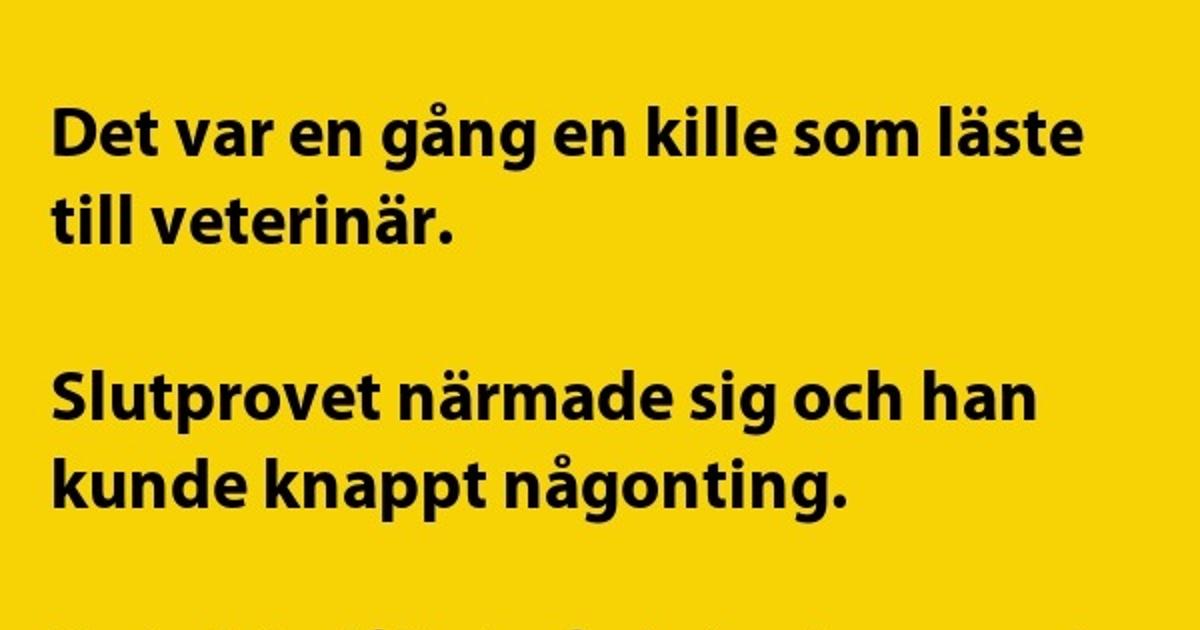 Det var en gång en kille som läste till…