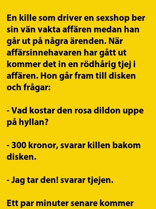 En kille som driver en sexshop ber sin vän…