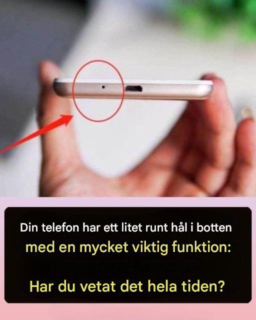 Din telefon har ett litet runt hål i botten med en mycket viktig funktion