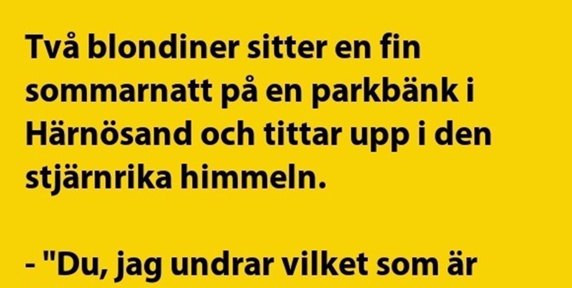 Två blondiner sitter en fin sommarnatt…