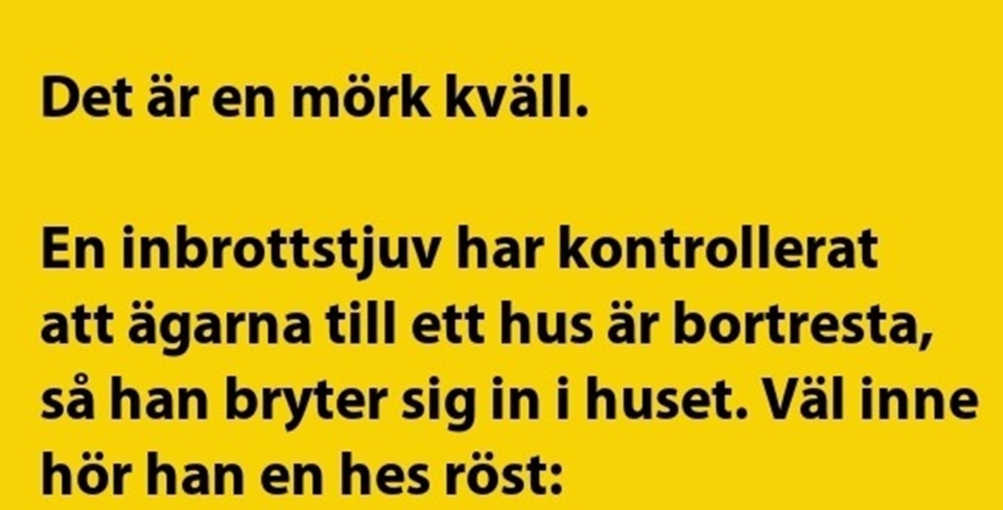 En inbrottstjuv har kontrollerat att ägarna…