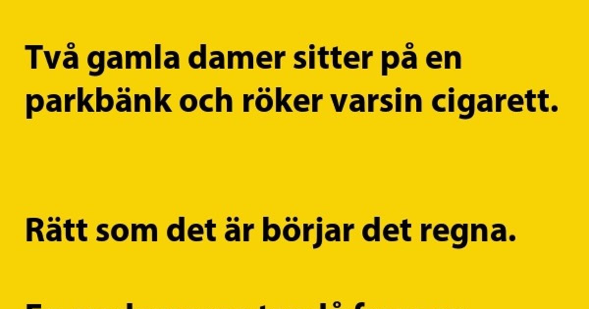 Två gamla damer sitter på en parkbänk…