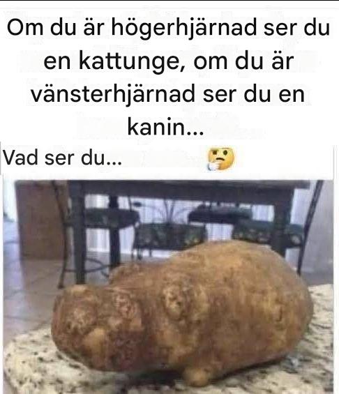 Den magiska potatisillusionen